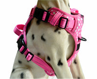 Pink Polka Dots Adjustable Super Harness