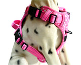 Pink Polka Dots Adjustable Super Harness