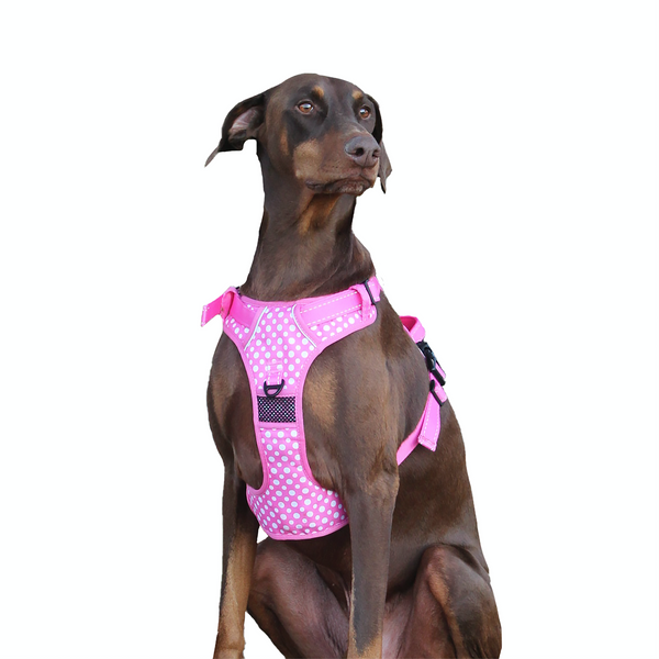 Pink polka dot dog hot sale harness